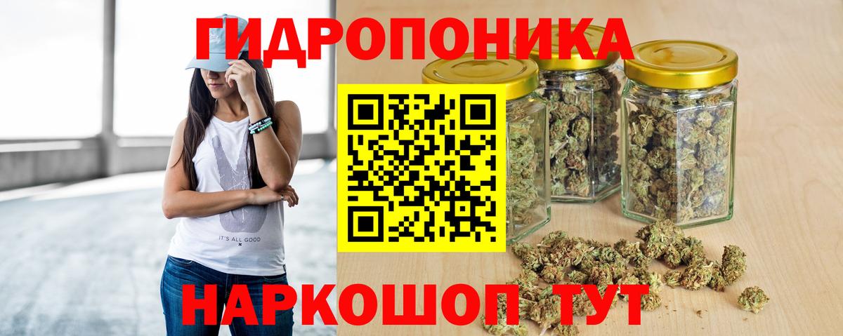 Бошки Шишки планчик Десногорск